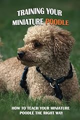 Training miniature poodle for sale  Delivered anywhere in USA 