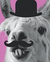 Notebook sleezy llama gebraucht kaufen  Wird an jeden Ort in Deutschland