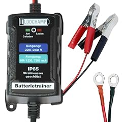 Lodchamp chargeur maintenance d'occasion  Livré partout en France