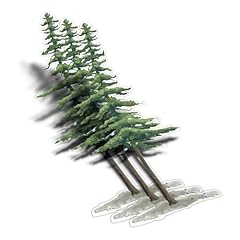 Redwood tree clear for sale  Delivered anywhere in USA 
