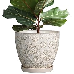 Mpotto inch ceramic for sale  Delivered anywhere in USA 