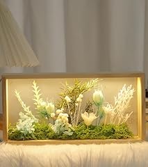 Octonyluck shadow box for sale  Delivered anywhere in USA 