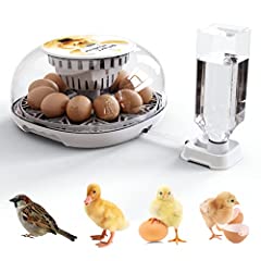 Eggs incubator eggs for sale  Delivered anywhere in Ireland