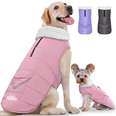 Ibuddy dog winter for sale  Delivered anywhere in USA 