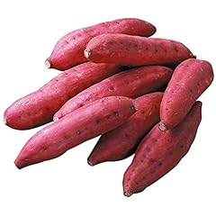 Generic semi patate usato  Spedito ovunque in Italia 