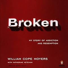 Broken story addiction for sale  Delivered anywhere in USA 