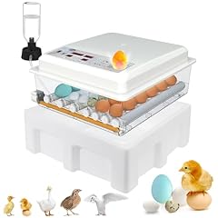 Incubateur automatique 36 d'occasion  Livré partout en France