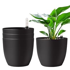 T4u vaso con usato  Spedito ovunque in Italia 