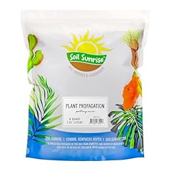 Soil sunrise plant for sale  Delivered anywhere in USA 