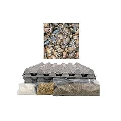 Dubia roach colony for sale  Delivered anywhere in USA 