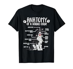 Funny anatomy border for sale  Delivered anywhere in USA 