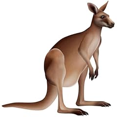 Beistle jointed kangaroo for sale  Delivered anywhere in USA 