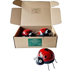 Kitastik ladybird metal for sale  Delivered anywhere in UK