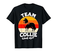 Collie team langhaar gebraucht kaufen  Wird an jeden Ort in Deutschland