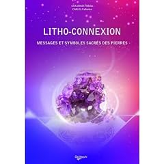 Litho connexion d'occasion  Livré partout en France