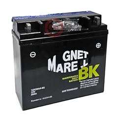 Batteria 12n20ah 12v usato  Spedito ovunque in Italia 