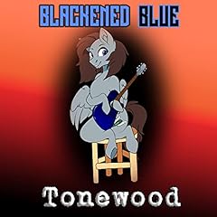 Tonewood explicit for sale  Delivered anywhere in Ireland