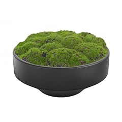 Naharo new moss for sale  Delivered anywhere in USA 