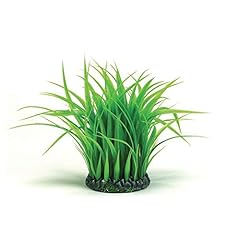 Biorb touffe herbe d'occasion  Livré partout en France