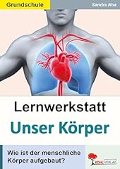 Lernwerkstatt körper menschli gebraucht kaufen  Wird an jeden Ort in Deutschland