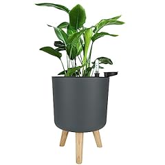Shuess self watering for sale  Delivered anywhere in UK