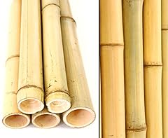 10er set bambusrohr gebraucht kaufen  Wird an jeden Ort in Deutschland