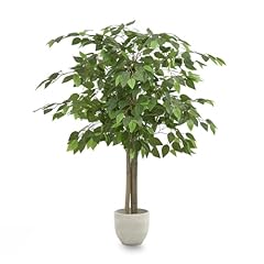 Maia shop ficus gebraucht kaufen  Wird an jeden Ort in Deutschland