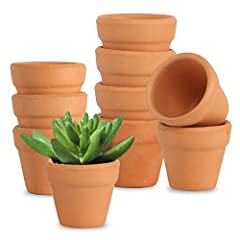 AOROPS Mini vasi in terracotta, 10 pezzi, piccoli vasi in terracotta, 3 cm, per piante grasse, mini vasi di terracotta, per interni ed esterni usato  Spedito ovunque in Italia 