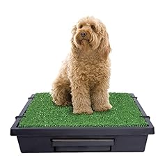 Petsafe pet loo for sale  Delivered anywhere in USA 