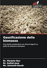 Gassificazione della biomassa usato  Spedito ovunque in Italia 