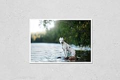 Hardpress wall art for sale  Delivered anywhere in USA 