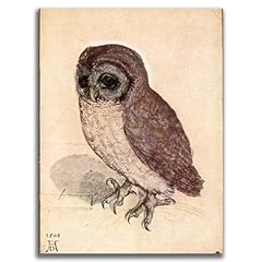Yomcut albrecht dürer for sale  Delivered anywhere in USA 
