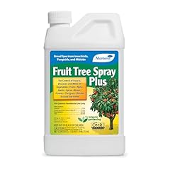 Monterey fruit tree for sale  Delivered anywhere in USA 