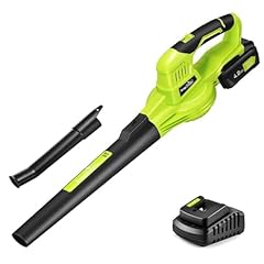Snapfresh cordless leaf for sale  Delivered anywhere in USA 