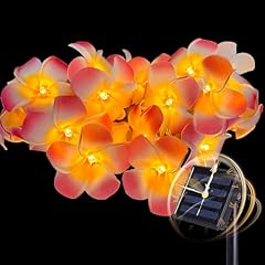 Easesolies solar garden for sale  Delivered anywhere in USA 