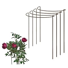 Rusty bow plant for sale  Delivered anywhere in UK
