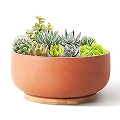 Sqowl terracotta planter for sale  Delivered anywhere in USA 