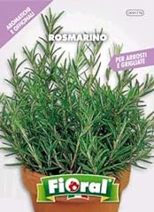Sementi piante aromatiche usato  Spedito ovunque in Italia 