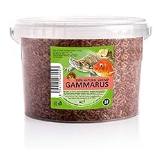 Ugf crevettes eau d'occasion  Livré partout en Belgiqu