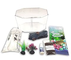 Nature gift african for sale  Delivered anywhere in USA 