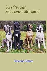 Cani pinscher schnauzer usato  Spedito ovunque in Italia 