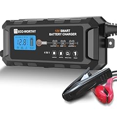 Eco worthy 12v for sale  Delivered anywhere in UK