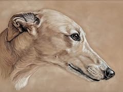 Greyhound print original for sale  Delivered anywhere in UK