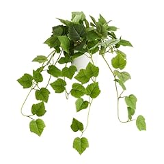 Cadnly realistic artificial for sale  Delivered anywhere in USA 