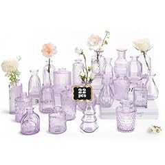 Ruckae purple flower for sale  Delivered anywhere in USA 