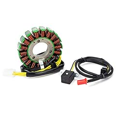 Teram loisirs stator usato  Spedito ovunque in Italia 