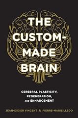 Custom made brain for sale  Delivered anywhere in Ireland