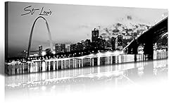 Djsylife panoramic st. for sale  Delivered anywhere in USA 