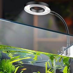 Pawfly led luce usato  Spedito ovunque in Italia 