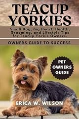 Teacup yorkies small for sale  Delivered anywhere in USA 